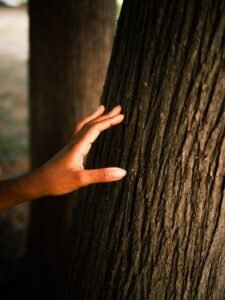 A hand reaching out to touch tree bark, illustrating the 5-4-3-2-1 grounding technique using the five senses
