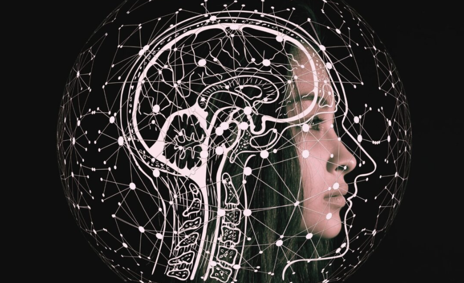 what-is-the-nervous-system