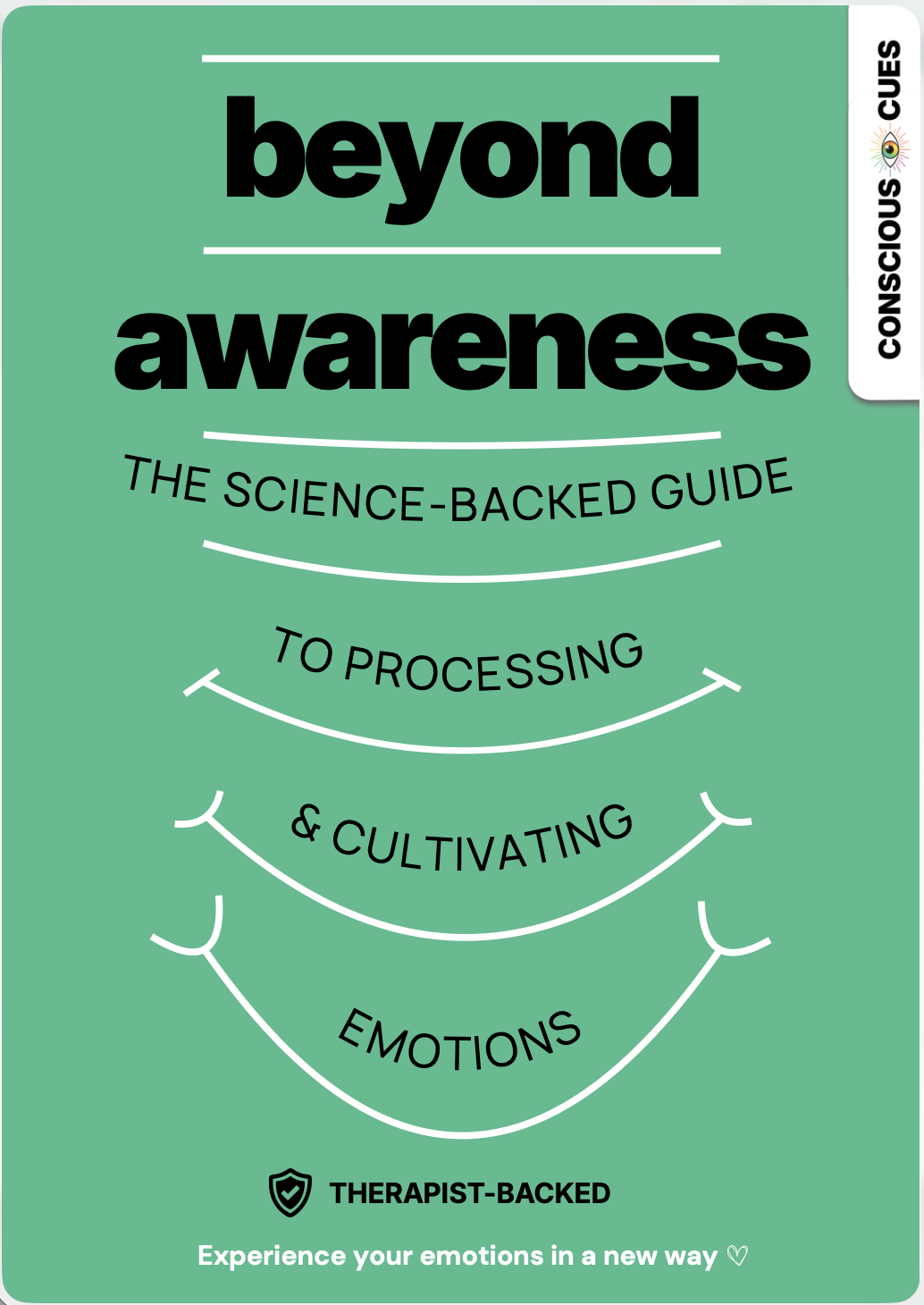 Beyond Emotional Awareness full Feelings Wheel guide cover